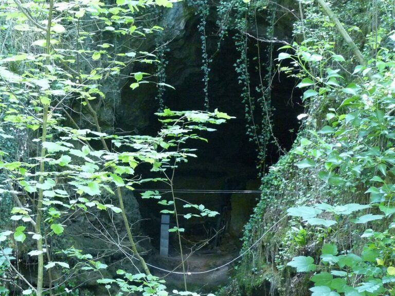 Entrée de Grotte - Grotte de Fontéchevade