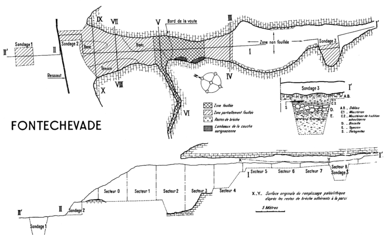 Plan - Grotte de Fontéchevade