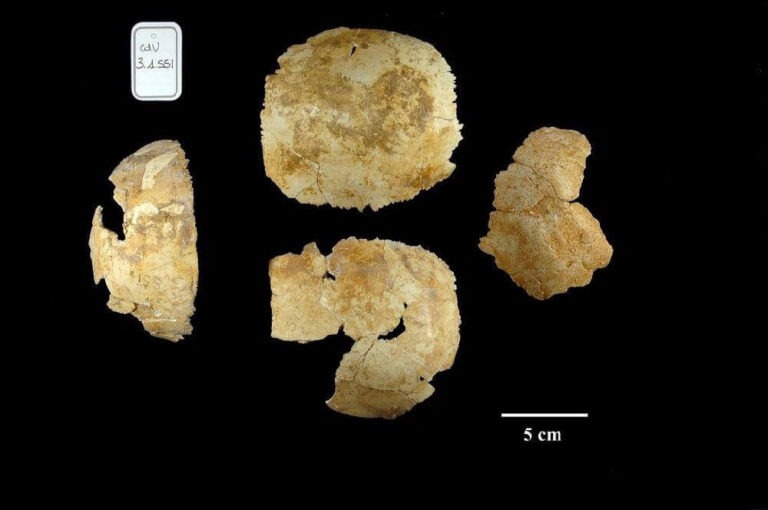 fragment de crane humain préhistorique - Grotte fde la Chaise