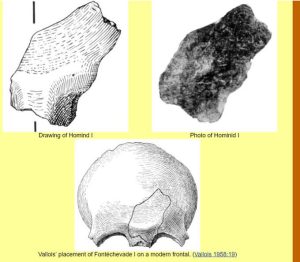 fragment de crane humain préhistorique 02 - Grotte fontéchevade