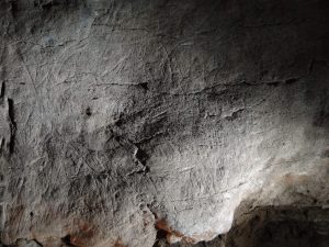 Gravure de chevaux - Grotte du placard