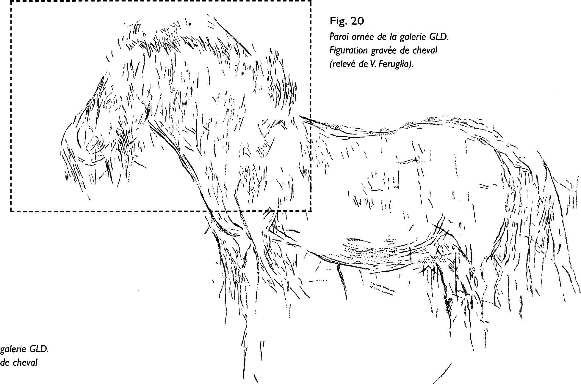 Gravure de chevaux 04 - Grotte du placard