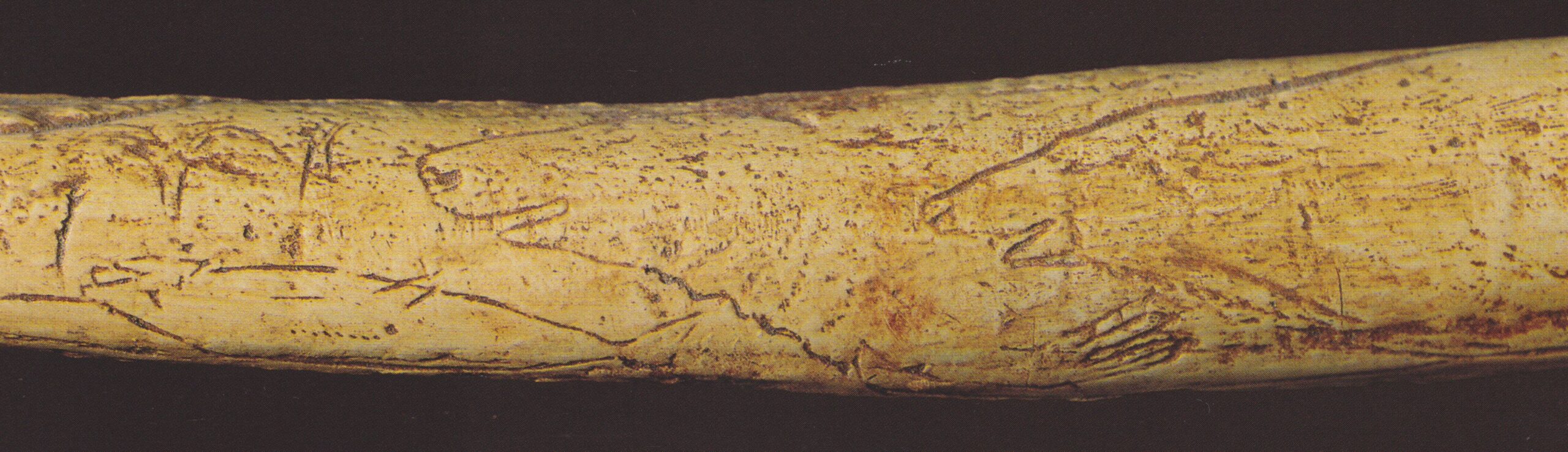 Objets préhistoriques 03 - Montgaudier